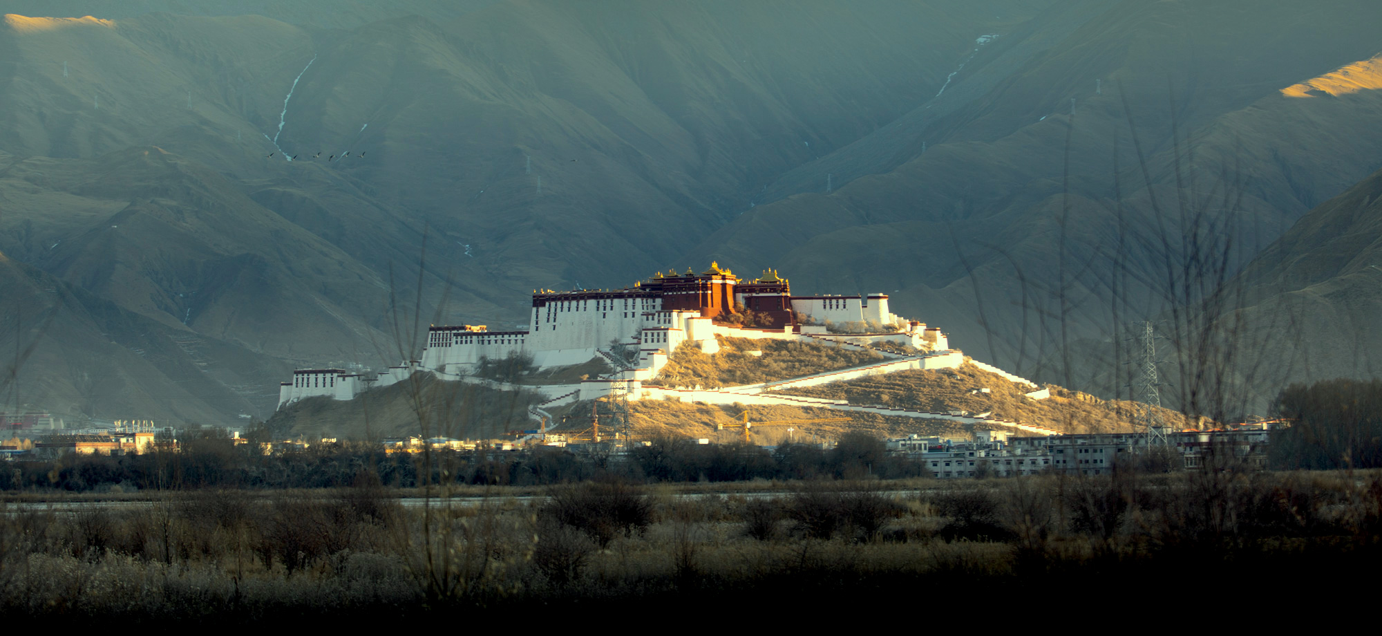 Potala palace