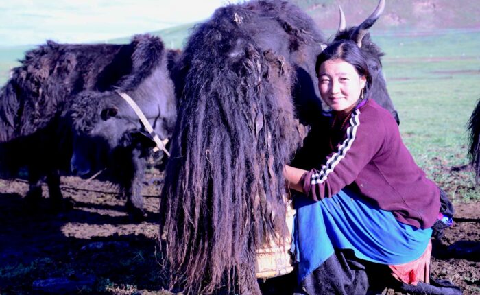 Amdo travel guide, Amdo travel, Amdo Tibetan Family Homestay