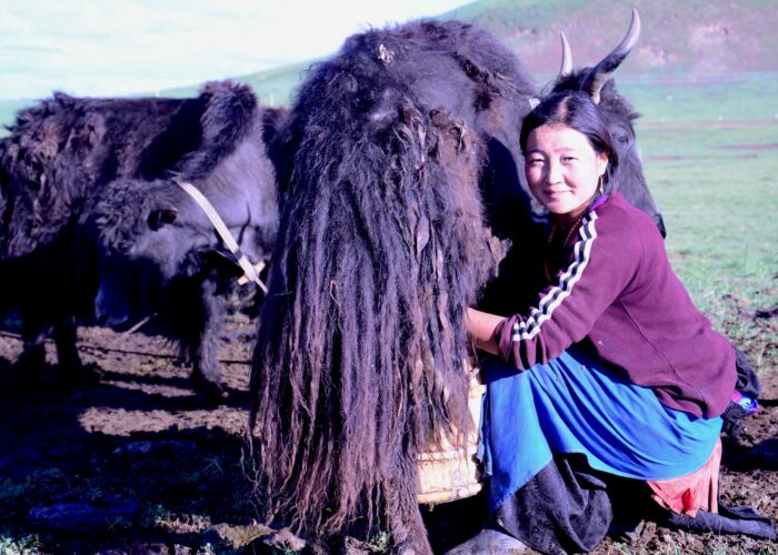 Amdo travel guide, Amdo travel, Amdo Tibetan Family Homestay