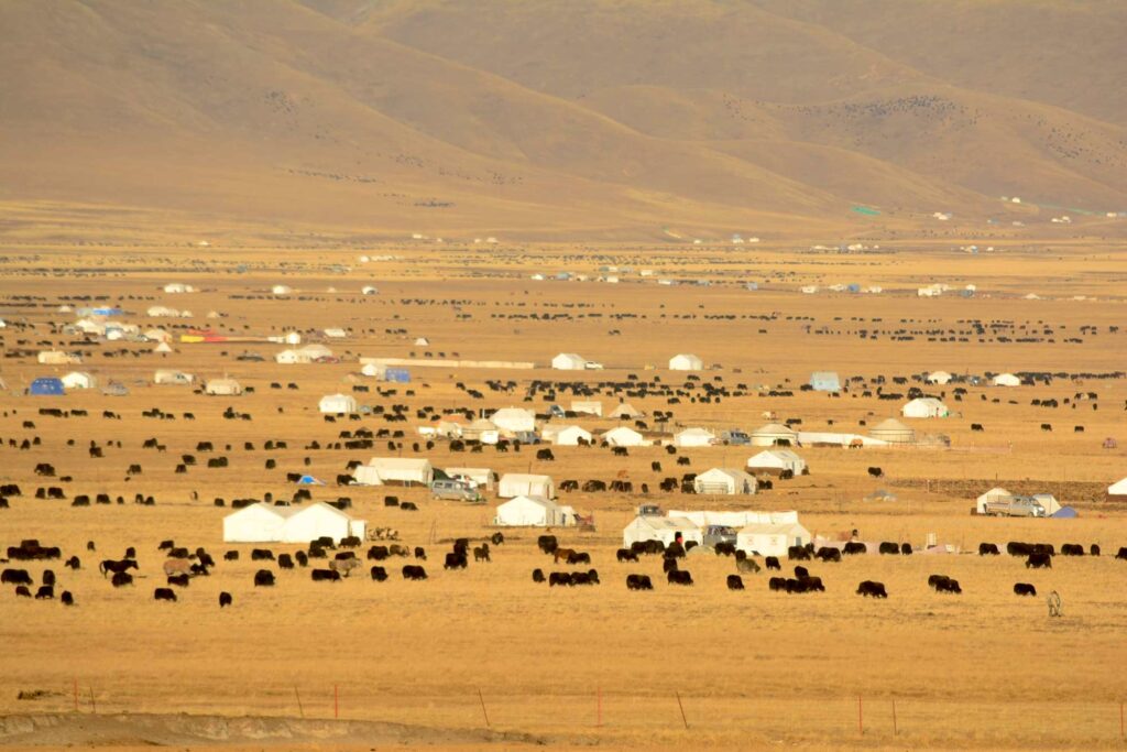 Sogwo Grassland in Amdo