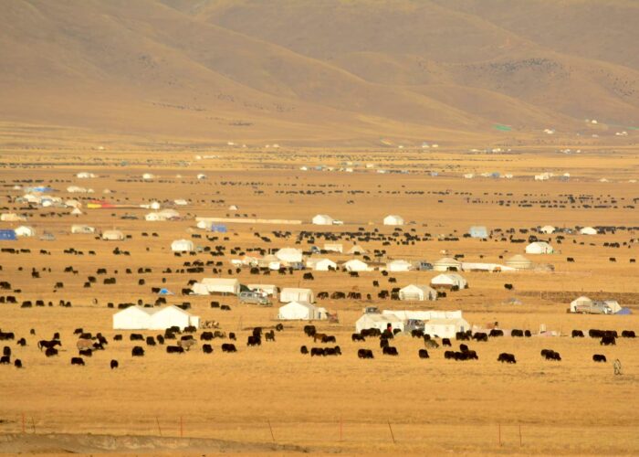 Sogwo Grassland in Amdo